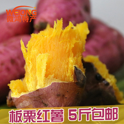 【微鸿】宜宾新鲜现挖板栗红薯红苕黄心地瓜新鲜蔬菜山芋番薯5斤