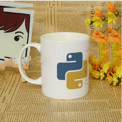 Python咖啡男女生程序员男女朋友生日礼物礼品杯个性创意神器水杯