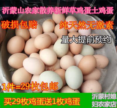 沂蒙 农家 散养 新鲜草鸡蛋 山鸡蛋 土鸡蛋 原生态 柴鸡蛋 无激素