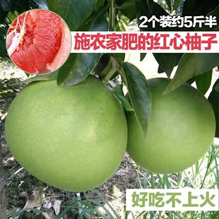 柚子红心柚红肉柚永州特产江永蜜柚新鲜农家 水果红肉蜜柚5斤包邮